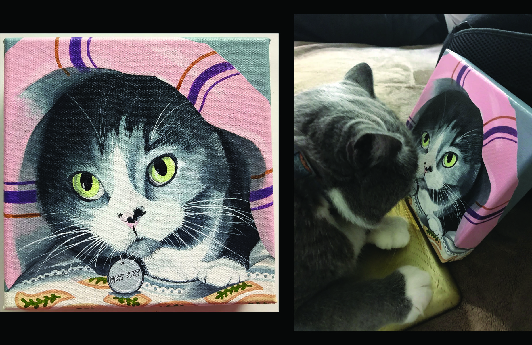 Gray cat snuggles blanket pet portrait